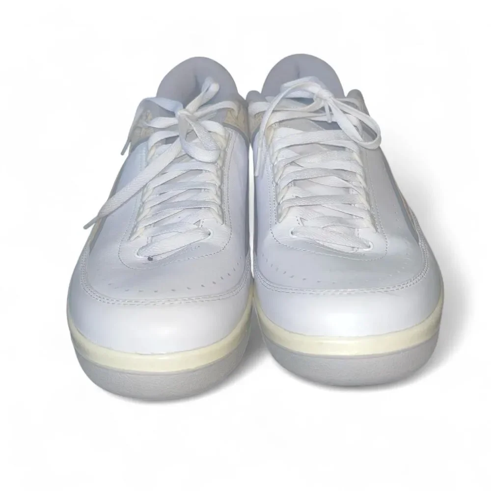 Nike Air Jordan Men's Two Retro Low Python SZ 14